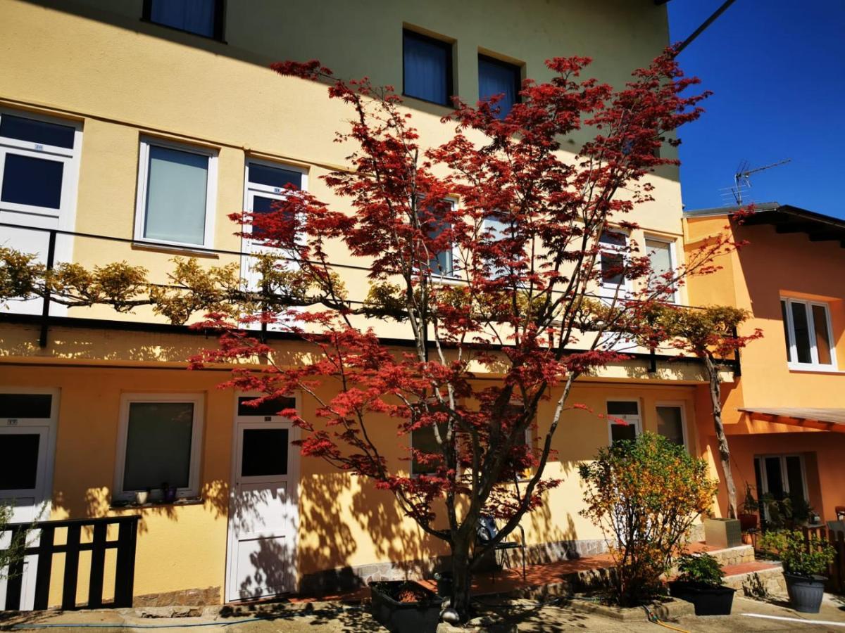 Hotel Goldene Krone มิสเทิลบาค ภายนอก รูปภาพ